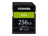Toshiba SD Exceria R100 N203 256GB