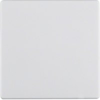 Berker Wippe 16206089 polarweiss samt Berker Wippe 16206089 polarweiss samt