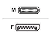helos Adapterkabel, USB 3.1 Type-C Stecker/DisplayPort 1.2 Bu., PREMIUM, silber helos Adapterkabel, USB 3.1 Type-C Stecker/DisplayPort 1.2 Bu., PREMIUM, silber