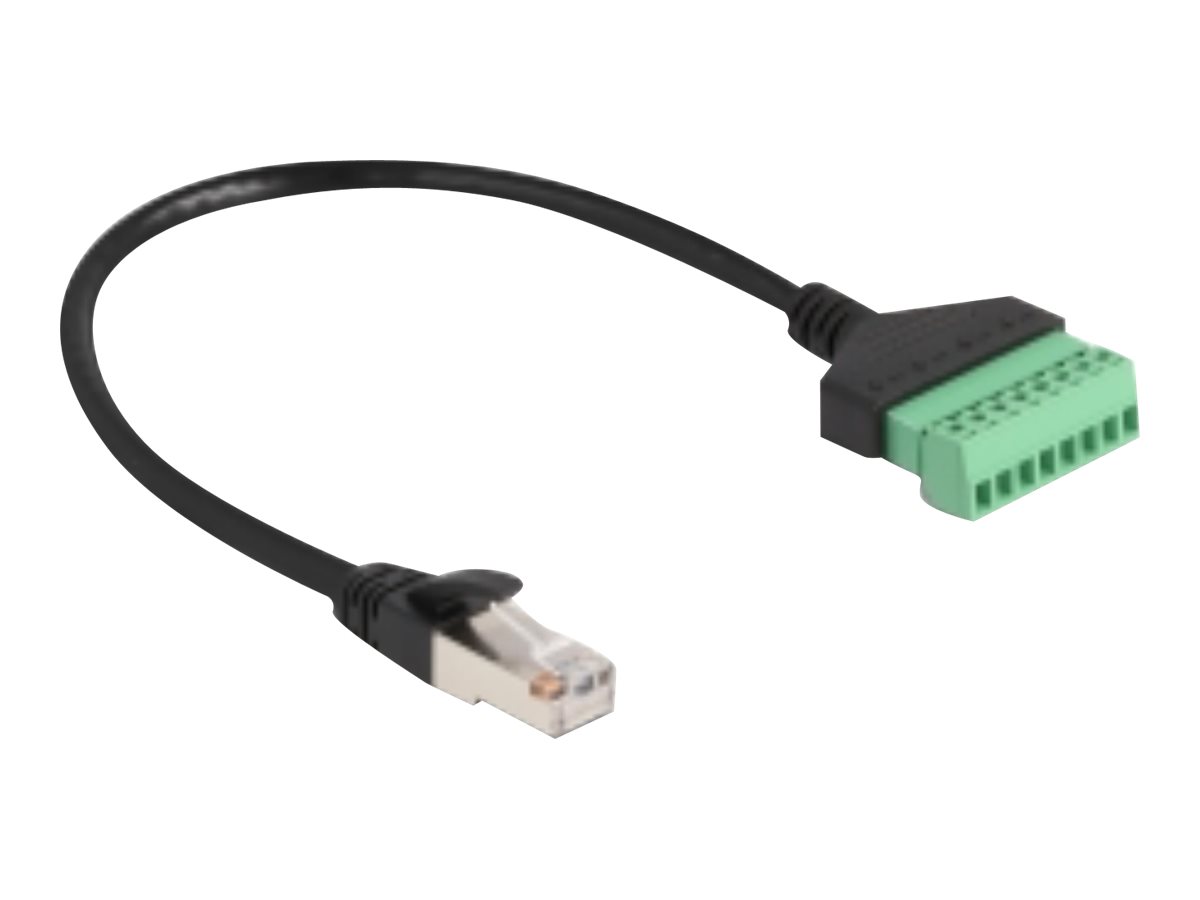 DELOCK RJ45 Kabel Cat.6 Stecker zu Terminalblock Adapter 30cm 2-teilig