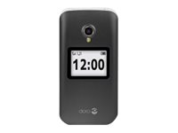 2424 (graphit-silber) 2424 (graphit-silber)
