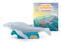 KLE!NE EXPERTEN tauchen mit Walen