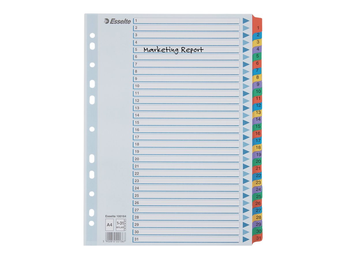 Esselte Ordnerregister Vollformat 1-31 farbig 31-teilig, 1 Satz Esselte Ordnerregister Vollformat 1-31 farbig 31-teilig, 1 Satz