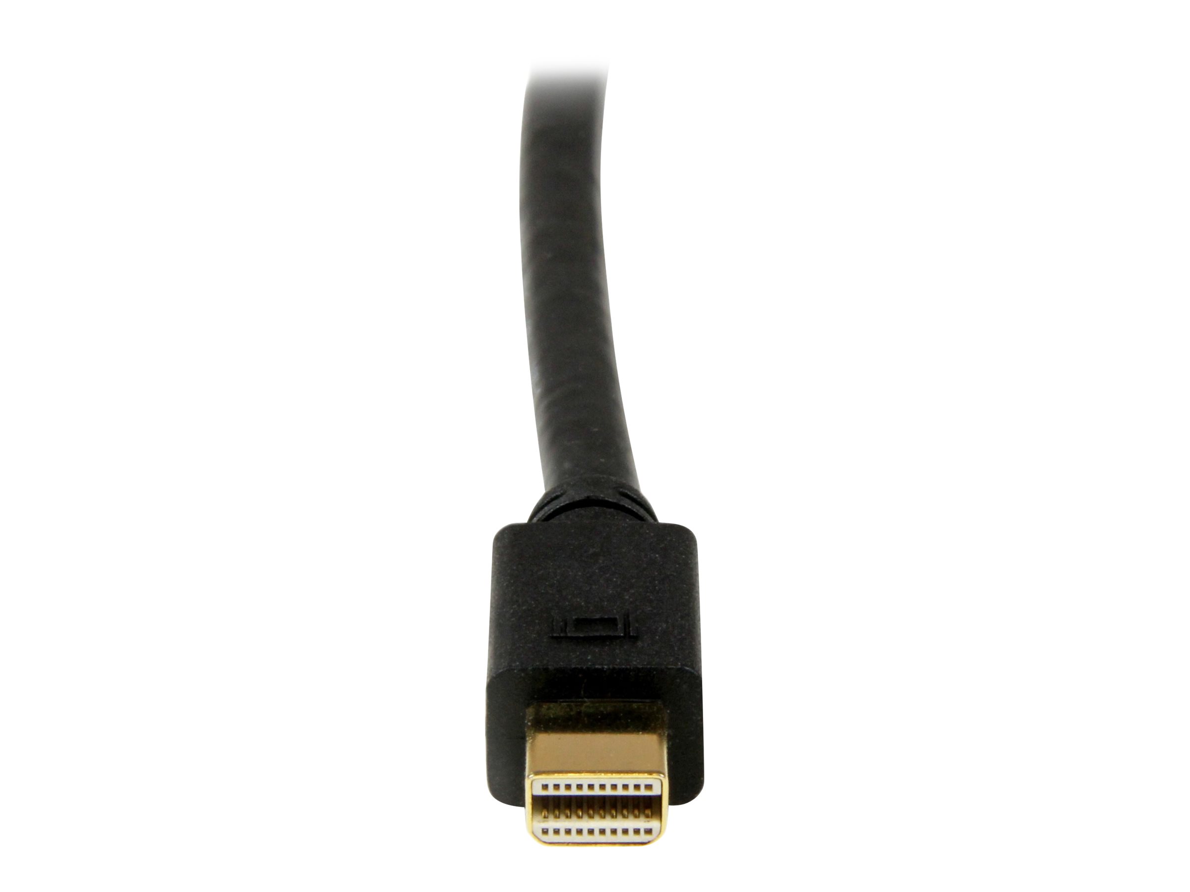 StarTech.com 3m Mini DisplayPort auf DVI Kabel (Stecker/Stecker) - mDP zu DVI Adapter / Konverter für PC / Mac - 1920x1200 - Schwarz - DisplayPort-Kabel - 3.04 m