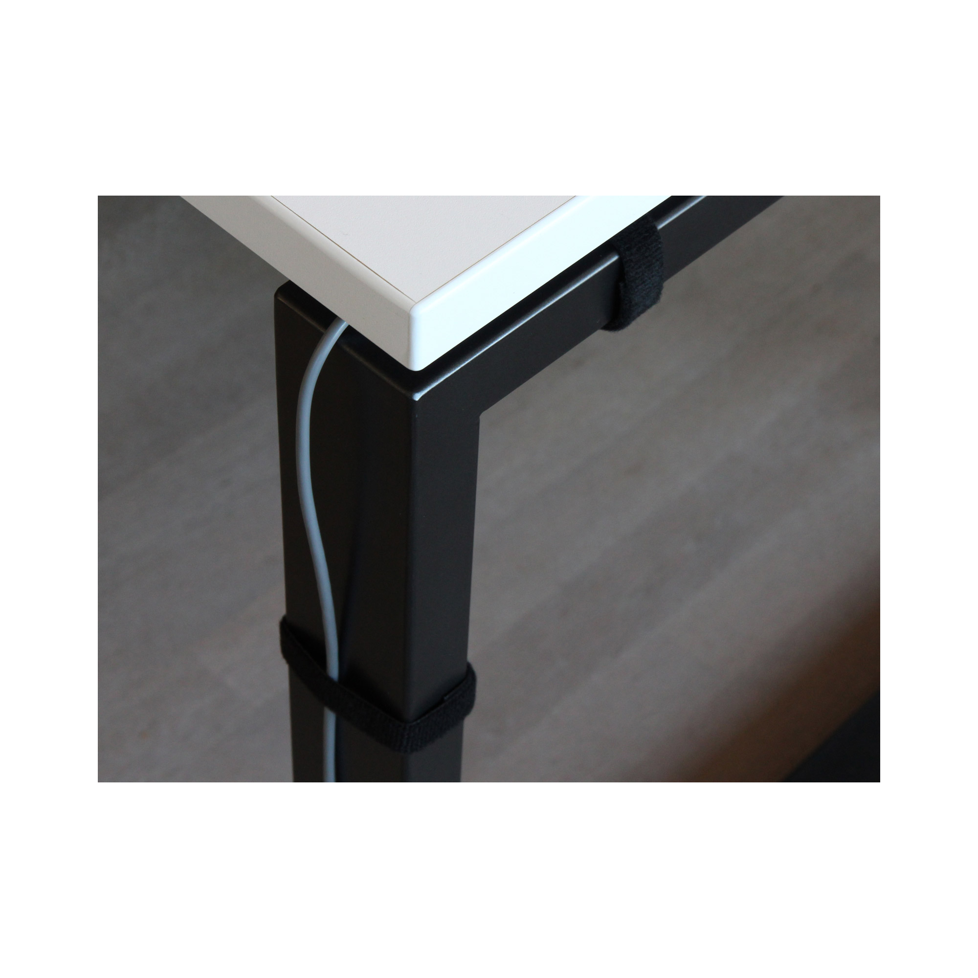 LABEL THE CABLE Klettband ROLL STRAP PRO schwarz