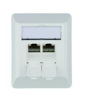 Teleg?rtner Dose AMJ45 8/8 K AP/50 Cat.6A alpinwei? Teleg?rtner Dose AMJ45 8/8 K AP/50 Cat.6A alpinwei?