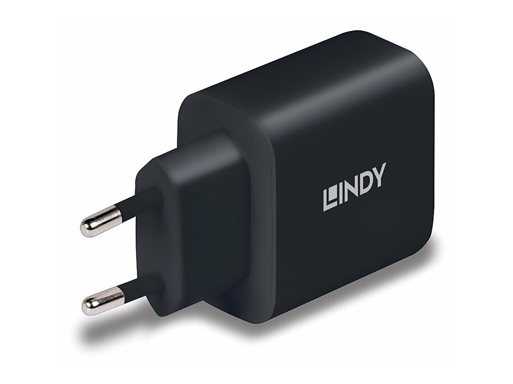 65W USB Type C GaN Charger mit EU-Stecker