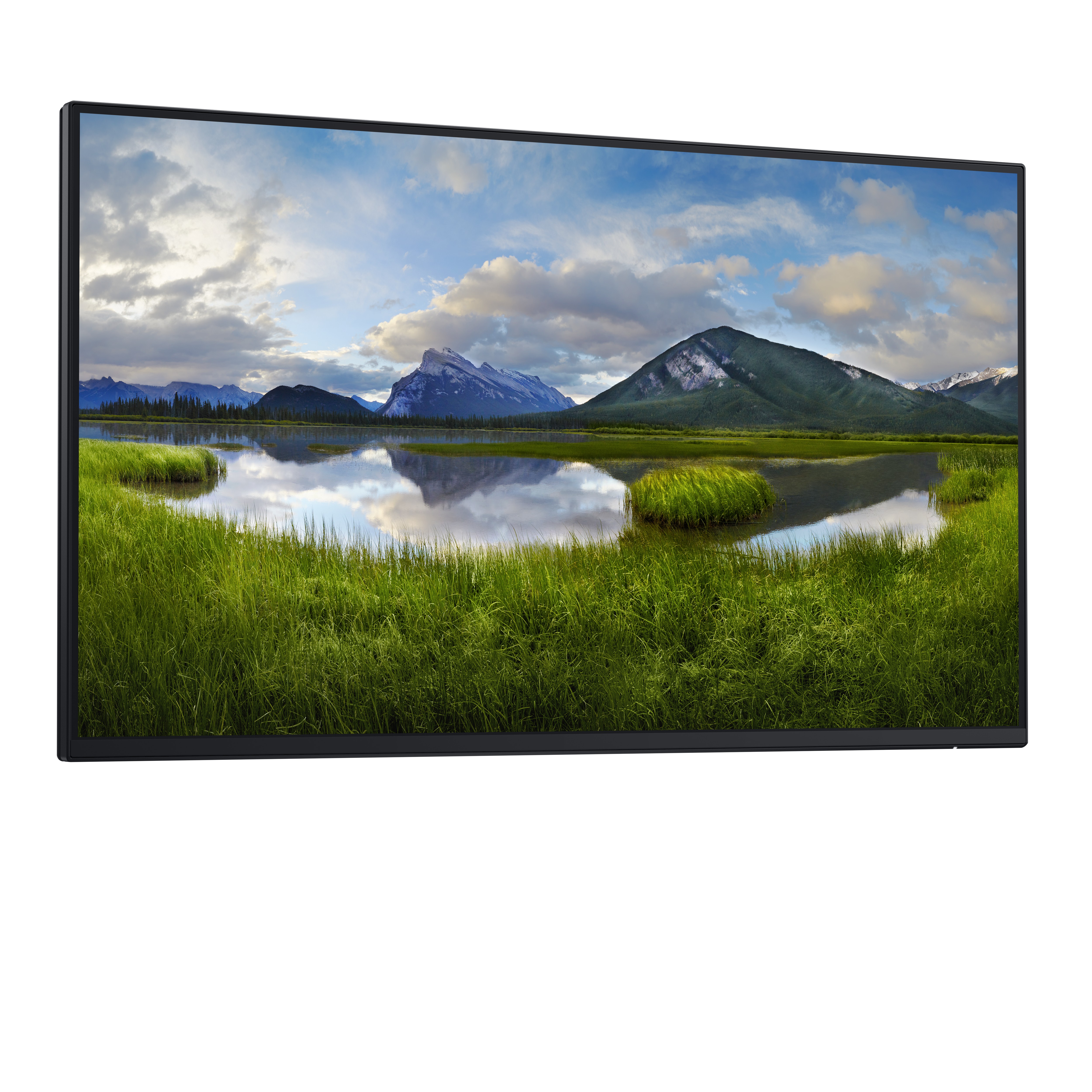 DELL 24 Monitor P2425H 60,45cm 23,8Zoll IPS 1920x1080 169 250cdm2 100Hz without stand HDMI DP VGA USB32