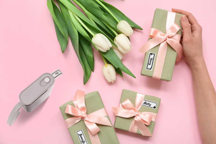 511172 PEACH PE110-w Etikettendrucker 511172 PEACH PE110-w Etikettendrucker