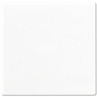 Jung Wippe A590WW für Schalter/Taster