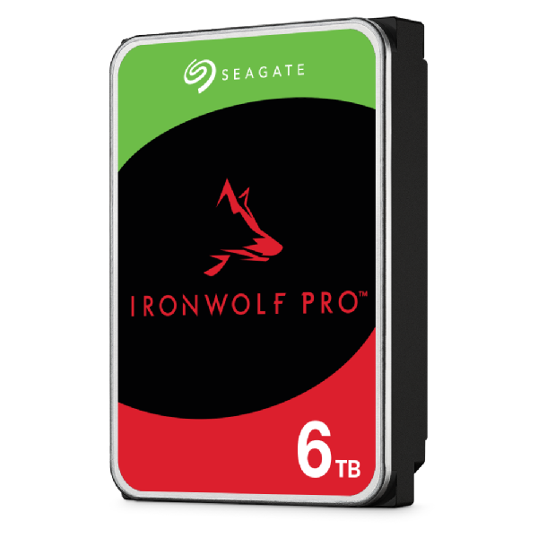 Seagate IronWolf Pro ST6000NT001 6 TB intern