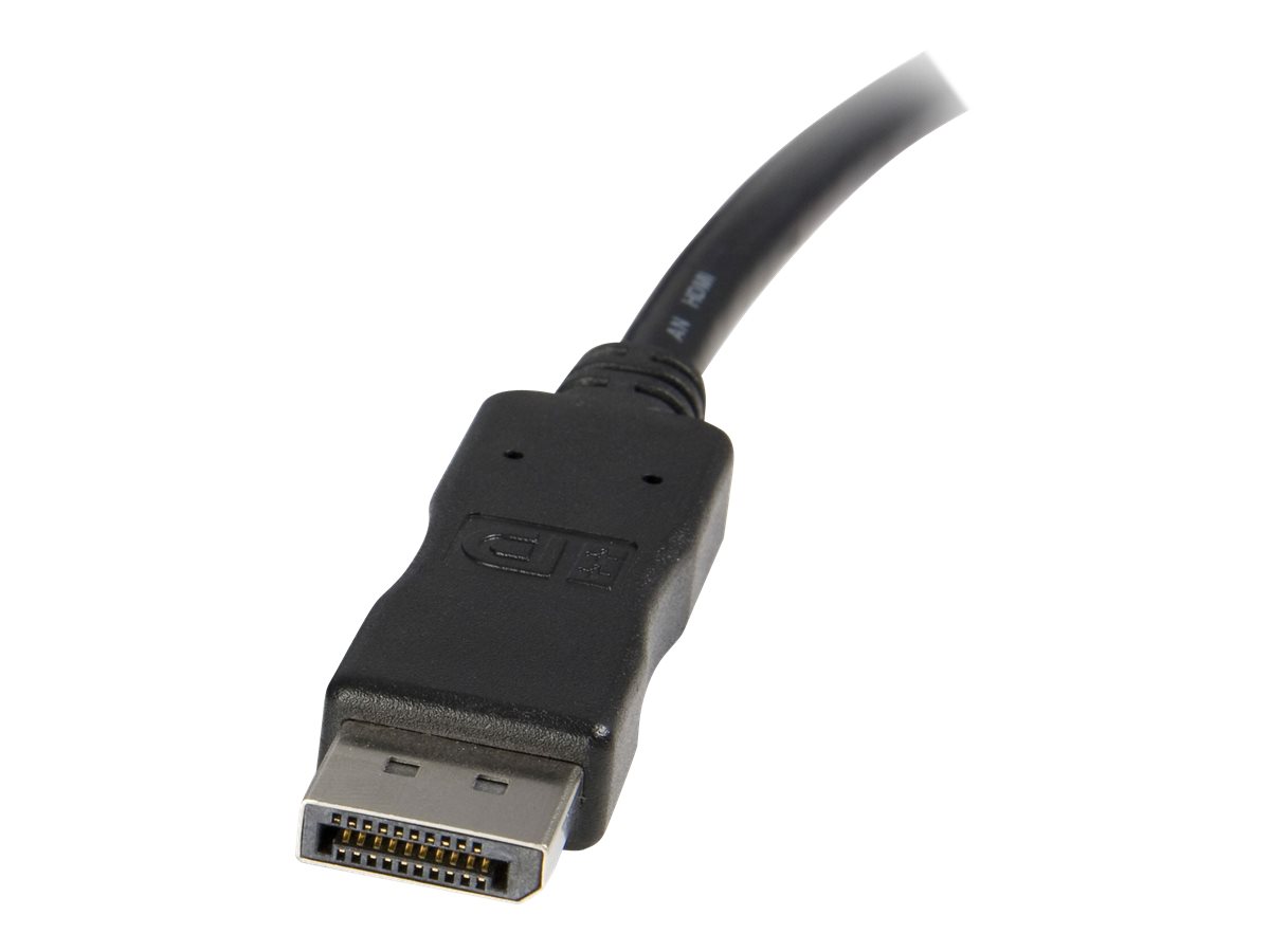 10 FT DP TO DVI CABLE
