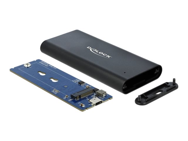 Delock Speichergehaeuse M2 M2 NVMe Card 10 Gbits USB 31 Gen 2