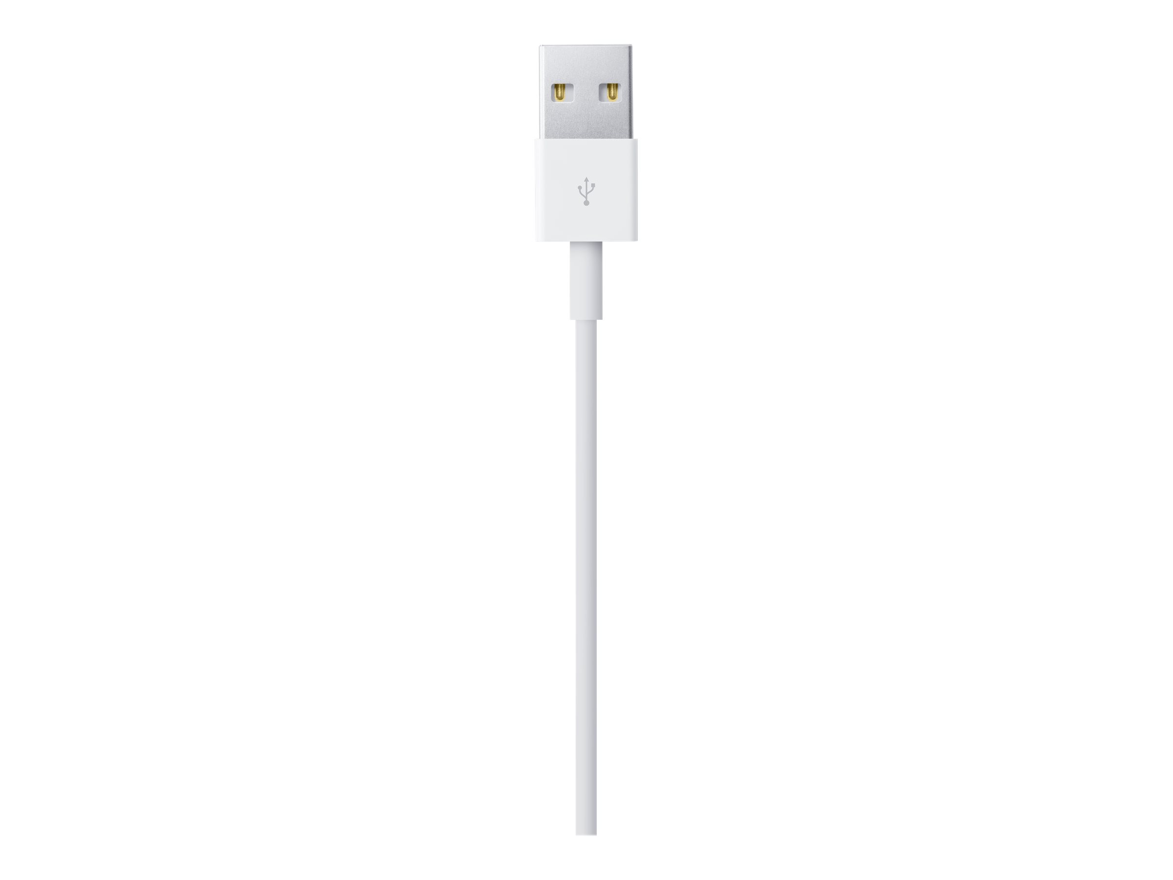 Apple Lightning auf USB Cable (1m)