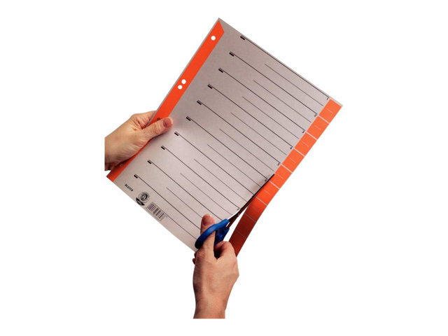 LEITZ Trennblaetter 1652 1-0 rot, 100 St. LEITZ Trennblaetter 1652 1-0 rot, 100 St.