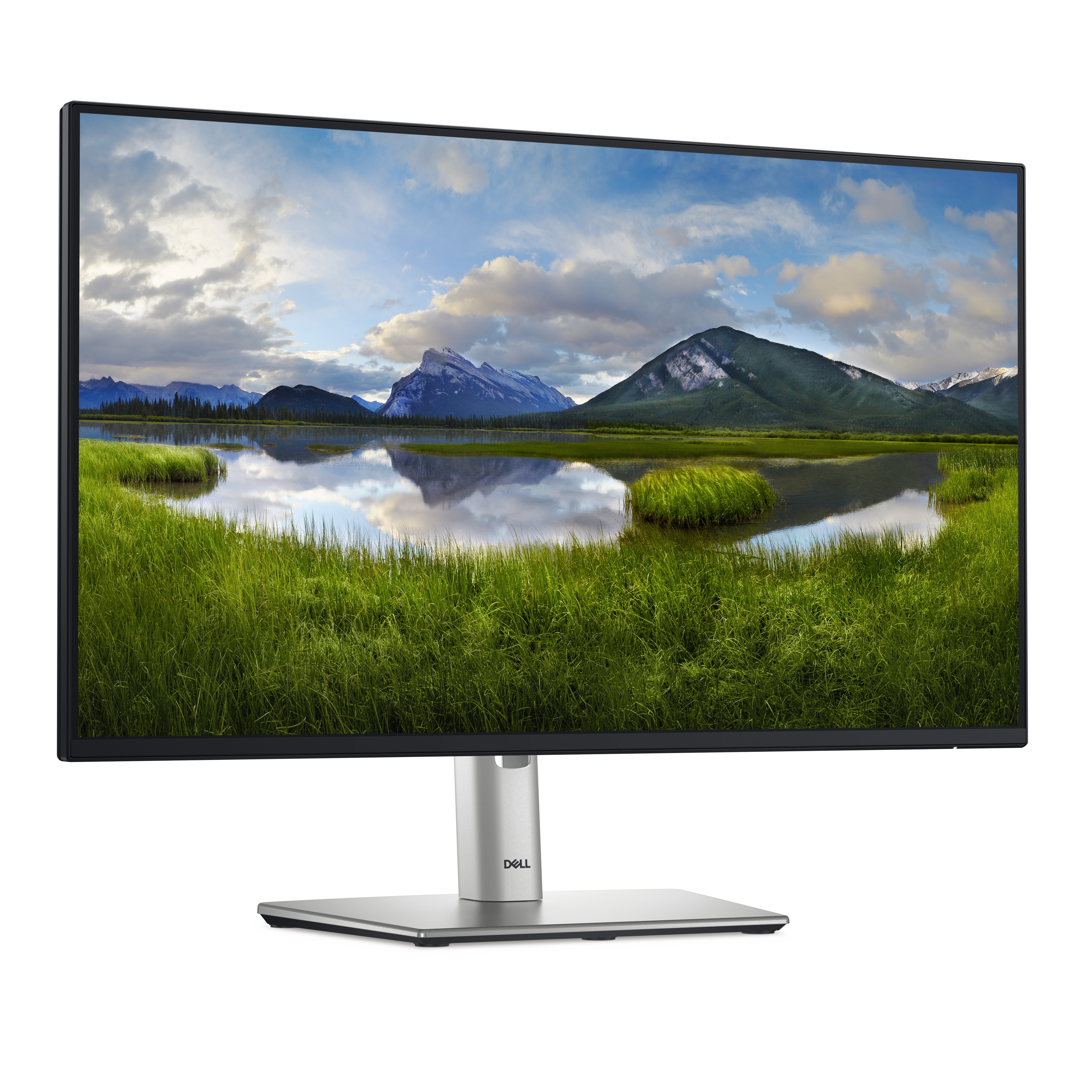 DELL 24 Monitor P2425H 60,45cm 23,8Zoll IPS 1920x1080 169 250cdm2 100Hz HDMI DP VGA USB32
