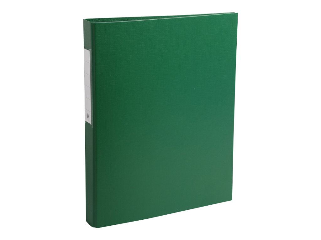 Exacompta Ringbuch grün Rückenbreite 30 mm