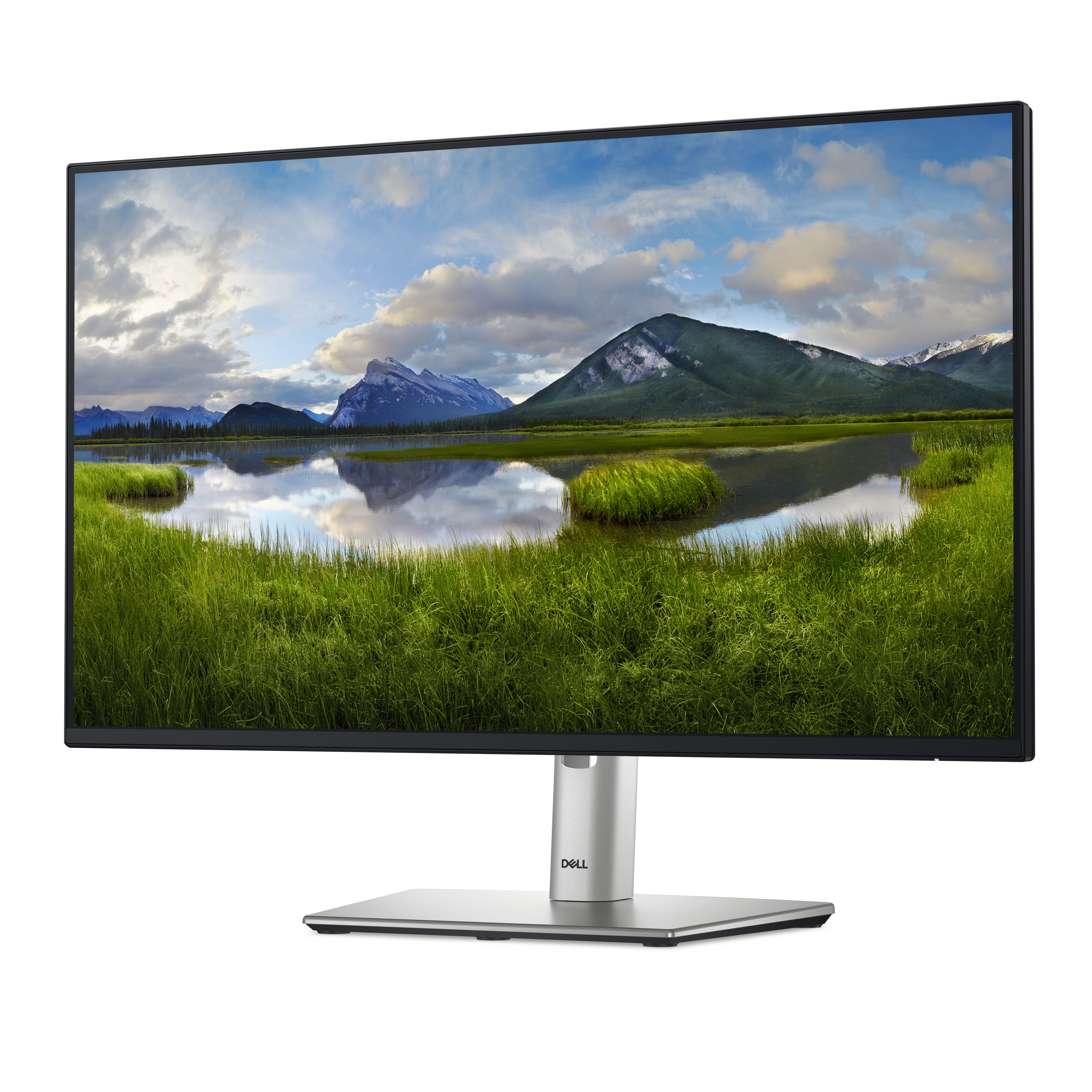 DELL 24 Monitor P2425H 60,45cm 23,8Zoll IPS 1920x1080 169 250cdm2 100Hz HDMI DP VGA USB32