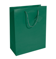 SIGEL Geschenktueten gruen 26,0 x 33,0 cm, 5 St