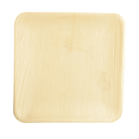 25 PAPSTAR Palmblatt-Teller pure 25,5 x 25,5 cm