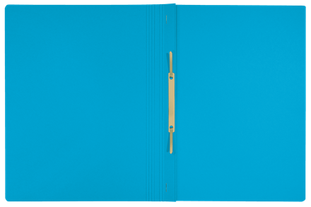 Esselte Leitz Recycle Schnellhefter DIN A4 Blau