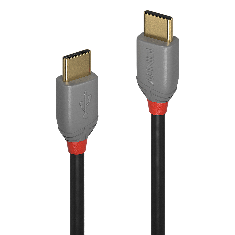 LINDY 1m USB 20 Typ C Kabel Anthra Line