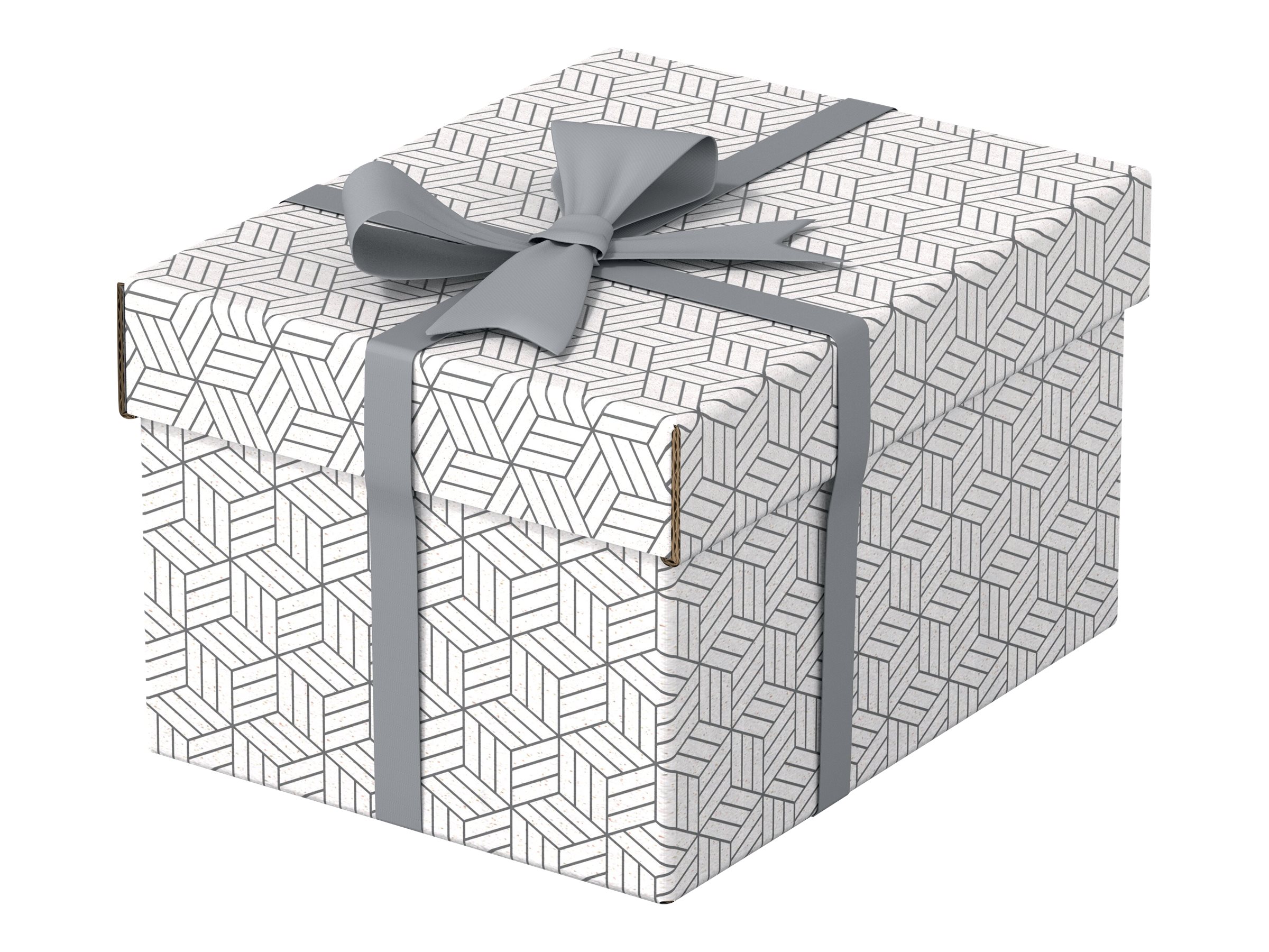 3 Esselte Home Aufbewahrungsboxen 6,5 l weiss 20,0 x 25,5 x 15,0 cm 3 Esselte Home Aufbewahrungsboxen 6,5 l weiss 20,0 x 25,5 x 15,0 cm