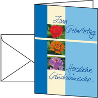 10 SIGEL Geburtsstagskarten Blumen Trio DIN A6 10 SIGEL Geburtsstagskarten Blumen Trio DIN A6