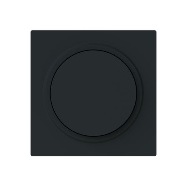 BuschJaeger Zentralscheibe 654045M102 Drehdimmer mDrehknopf