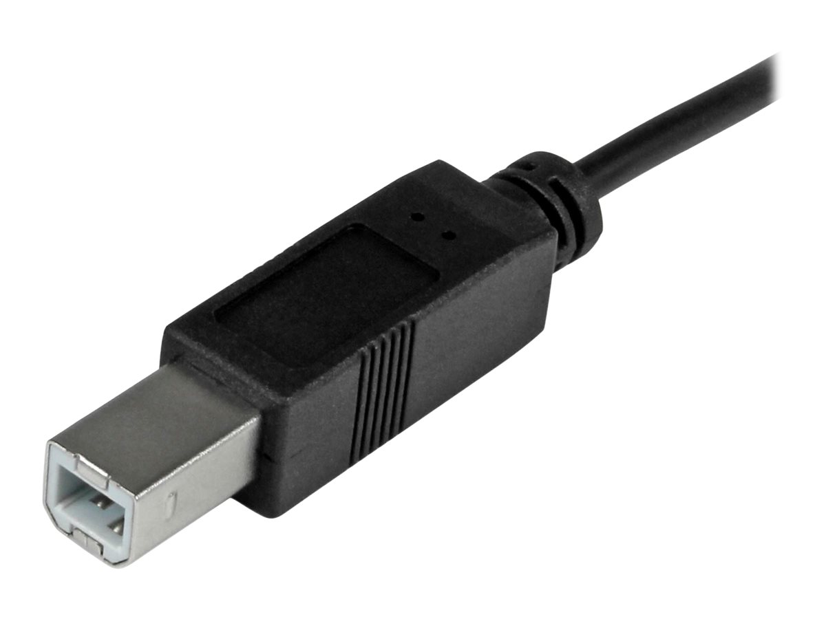 STARTECHCOM USBC to USBB Cable MM 1m 3ft USB 20
