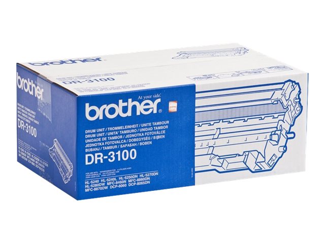 Brother DR3100 - Original - Trommeleinheit - für Brother DCP-8060