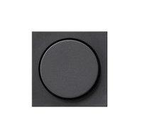 Gira Abdeckung 065028 Drehdimmer System 55 anthrazit
