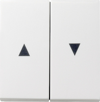 Gira Serienwippe 029403 + Pfeilsymbol System 55 reinweiss