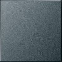 Gira Wippe 029628 Wechsel System 55 anthrazit Gira Wippe 029628 Wechsel System 55 anthrazit