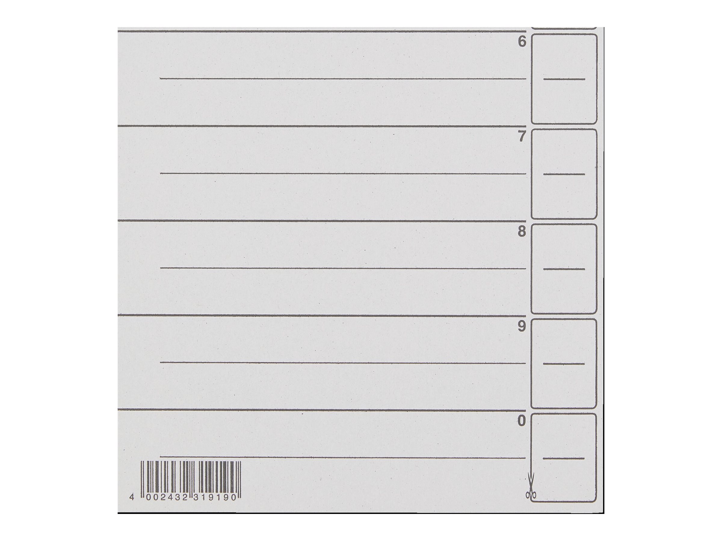 LEITZ Trennblaetter 1650 1-0 grau, 100 St. LEITZ Trennblaetter 1650 1-0 grau, 100 St.