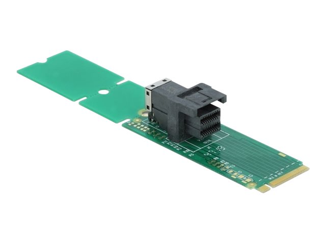 DELOCK Adapter M2 Key M zu SFF8643 NVMe 22110 2280 2260