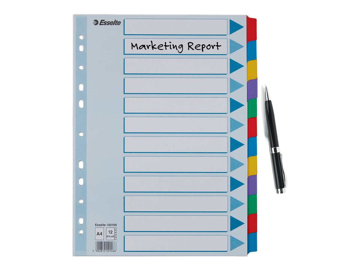 Esselte Ordnerregister DIN A4 Vollformat blanko farbig 12teilig, 1 Satz