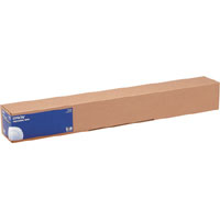 Epson Photo Paper Gloss 250 g 43,2 cm 17 x 30,5 m S 041892