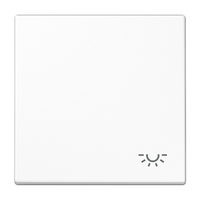 Jung Wippe LS990LWW mit Symbol Licht Jung Wippe LS990LWW mit Symbol Licht