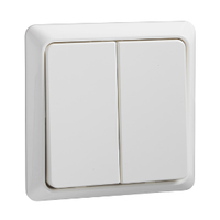 Elso Zweifachtaster 506354 42V/1A flach RENOVIERUNG rw