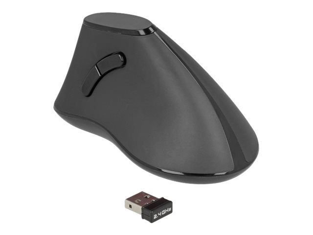 Delock Ergonomische vertikal optische 5-Tasten Maus 2,4 GHz kabellos - Lautlos