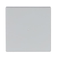 BuschJaeger Wippe 62301083 1fach aluminiumsilber