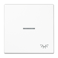 Jung Wippe LS990KO5LWW Symbol Licht Jung Wippe LS990KO5LWW Symbol Licht