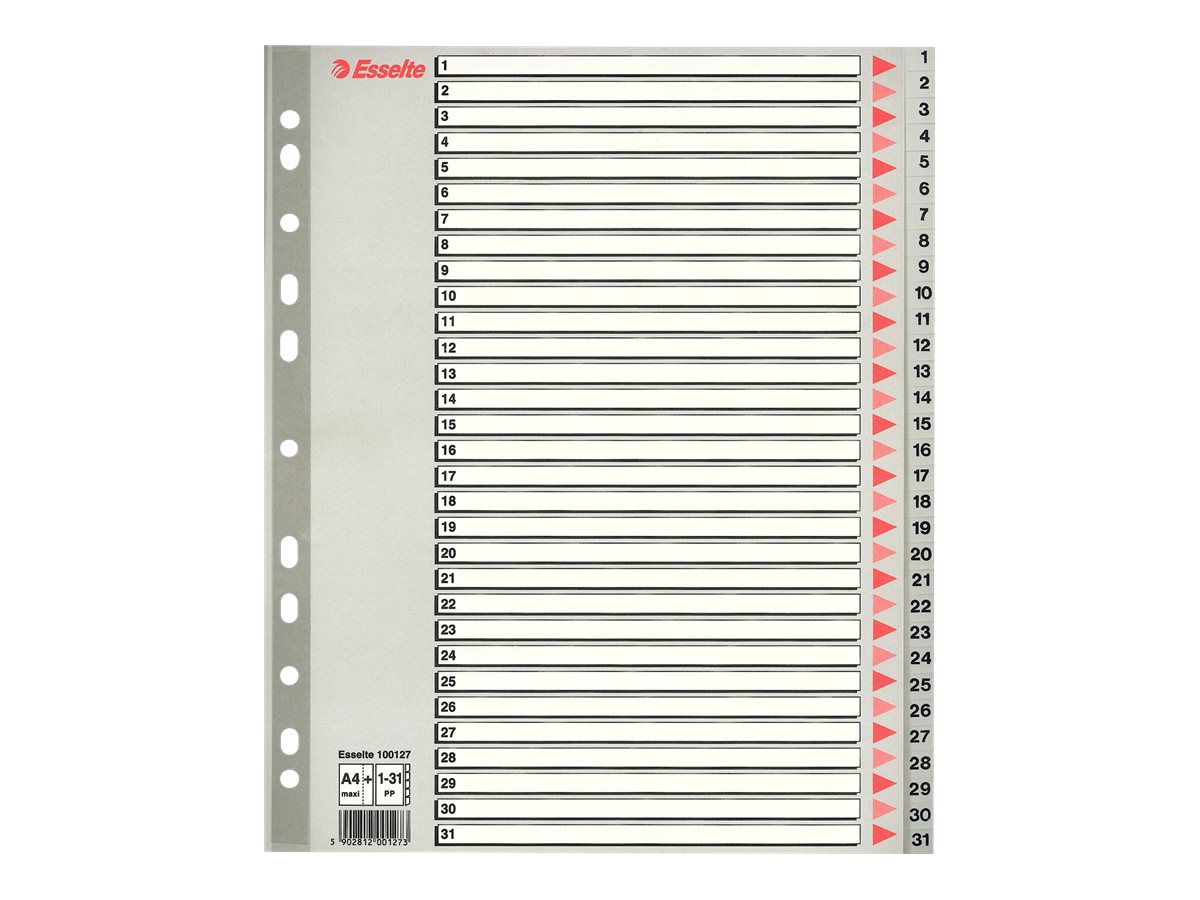 LEITZ Ordnerregister Vollformat, ueberbreite blanko grau-weiss 20-teilig, 1 Satz LEITZ Ordnerregister Vollformat, ueberbreite blanko grau-weiss 20-teilig, 1 Satz