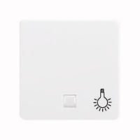 Elso Wippe 213154 bel. + Symbol Licht reinweiß Elso Wippe 213154 bel. + Symbol Licht reinweiß