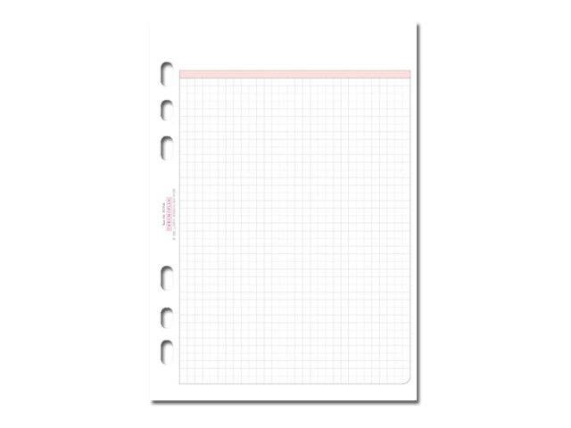 50 CHRONOPLAN Ringbuch-Ergaenzungsblaetter kariert A5 50 CHRONOPLAN Ringbuch-Ergaenzungsblaetter kariert A5