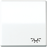 Jung Wippe AS591LWW mit Symbol Licht Jung Wippe AS591LWW mit Symbol Licht