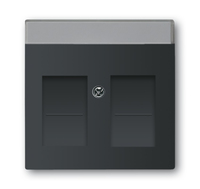 Busch-Jaeger Zentralscheibe 1800-885 schwarz matt Busch-Jaeger Zentralscheibe 1800-885 schwarz matt