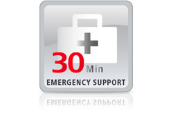 LANCOM Emergency Support - Geb?hr f?r Service am selben Tag