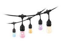 WiZ White & Color String Lights Tunable 120lm Einzelpack WiZ White & Color String Lights Tunable 120lm Einzelpack